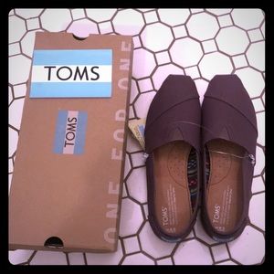 Brand new gray Toms